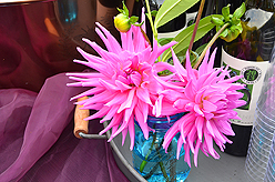 KAY CATERING GARDEN PARTY